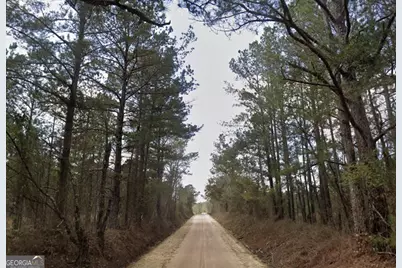 0 Nobles Road, Chester, GA 31012 - Photo 5