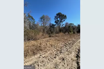 0 Starfish Lane, Lyons, GA 30436 - Photo 5