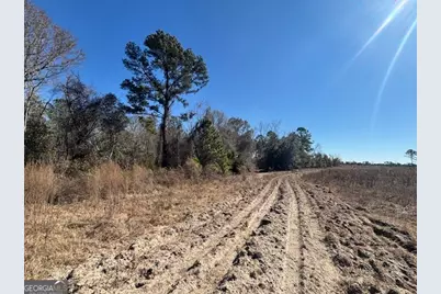 0 Starfish Lane, Lyons, GA 30436 - Photo 7