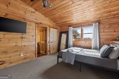 653 The Woods Road, Mineral Bluff, GA 30559 - Photo 39