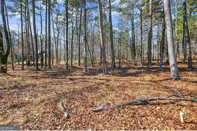 1841 Osprey Poynte, Greensboro, GA 30642 - Photo 17