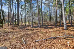 1841 Osprey Poynte, Greensboro, GA 30642 - Photo 17