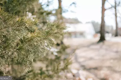 716 Stevens Grove Church Road, Lexington, GA 30648 - Photo 39