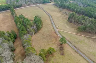 8817 Hwy 100, Hogansville, GA 30230 - Photo 65