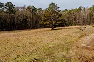 8817 Hwy 100, Hogansville, GA 30230 - Photo 83