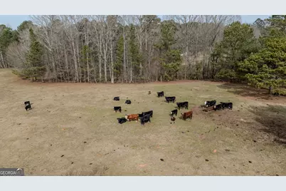 8817 Highway 100, Hogansville, GA 30230 - Photo 97