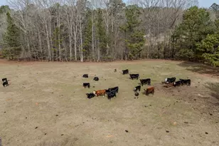 8817 Hwy 100, Hogansville, GA 30230 - Photo 97