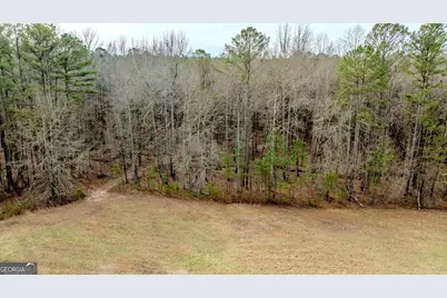 8817 Highway 100, Hogansville, GA 30230 - Photo 79