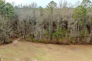 8817 Hwy 100, Hogansville, GA 30230 - Photo 79