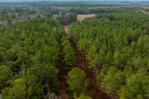 8817 Hwy 100, Hogansville, GA 30230 - Photo 69