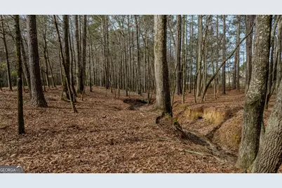 8817 Highway 100, Hogansville, GA 30230 - Photo 99