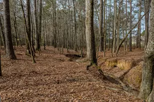 8817 Hwy 100, Hogansville, GA 30230 - Photo 99