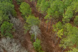 8817 Hwy 100, Hogansville, GA 30230 - Photo 67