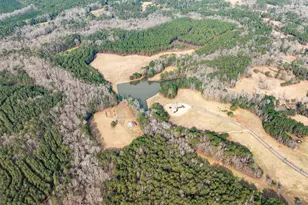 8817 Hwy 100, Hogansville, GA 30230 - Photo 91