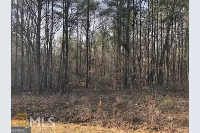 0 White Laurel Lane #16, Covington, GA 30016 - Photo 1