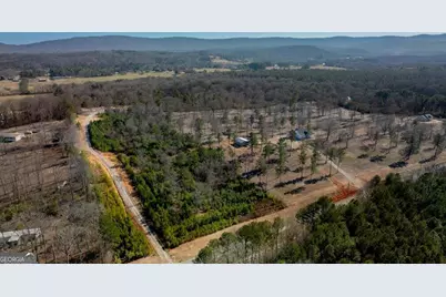 910 Tatum Road, Trion, GA 30753 - Photo 5