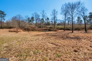 910 Tatum Rd, Trion, GA 30753 - Photo 37