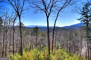 78 Brass Hill Road, Blue Ridge, GA 30513 - Photo 3