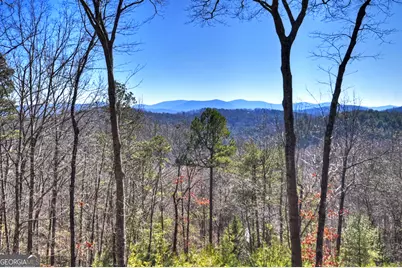 78 Brass Hill Road, Blue Ridge, GA 30513 - Photo 41