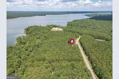 1165 Watersedge Cove, Tignall, GA 30668 - Photo 41