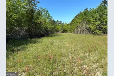 208 Oak Grove Lane, Sylvania, GA 30467 - Photo 23