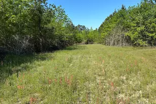 208 Oak Grove Ln, Sylvania, GA 30467 - Photo 23