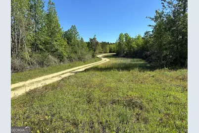 208 Oak Grove Lane, Sylvania, GA 30467 - Photo 25