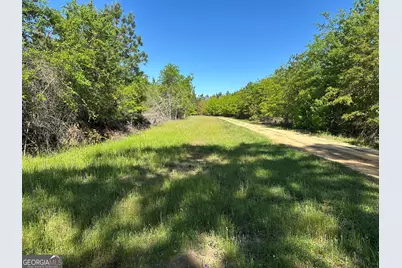 208 Oak Grove Lane, Sylvania, GA 30467 - Photo 31