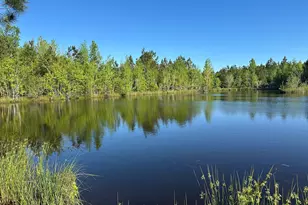 208 Oak Grove Ln, Sylvania, GA 30467 - Photo 5