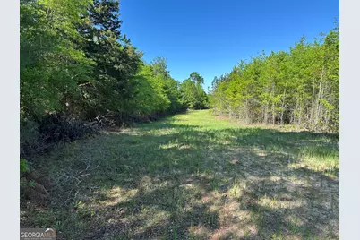 208 Oak Grove Lane, Sylvania, GA 30467 - Photo 29