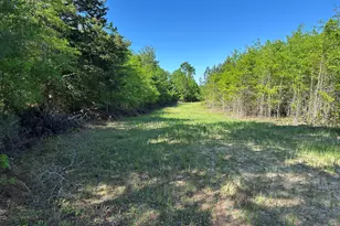 208 Oak Grove Ln, Sylvania, GA 30467 - Photo 29