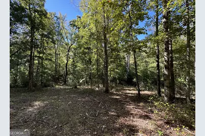 200 Ac W Ellis Road, Griffin, GA 30223 - Photo 3