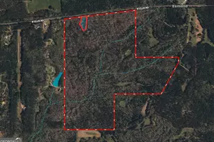 200 Ac W Ellis Rd, Griffin, GA 30223 - Photo 1