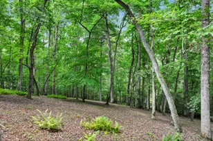 100 Arbor Way, Blue Ridge, GA 30513 - Photo 45