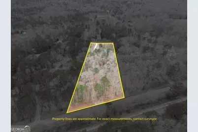 2040 Wynbrooke Place, Madison, GA 30650 - Photo 53