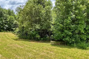 89 Simmons Rdg, Mineral Bluff, GA 30559 - Photo 65