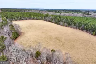 0 Colvin, Forsyth, GA 31029 - Photo 1