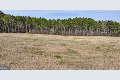 0 Colvin, Forsyth, GA 31029 - Photo 5