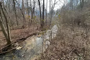 138 Rhondas Wy, Ellijay, GA 30540 - Photo 21