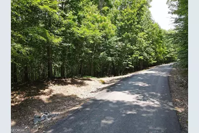 Lot 3 Scouts Overlook Lane, Morganton, GA 30560 - Photo 11