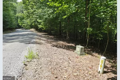 Lot 3 Scouts Overlook Lane, Morganton, GA 30560 - Photo 27