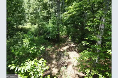 Lot 3 Scouts Overlook Lane, Morganton, GA 30560 - Photo 15