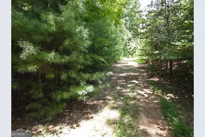 Lot 3 Scouts Overlook Lane, Morganton, GA 30560 - Photo 23