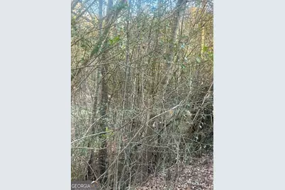 587 E Johnson Street, Temple, GA 30179 - Photo 5