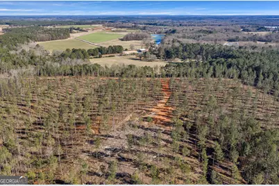 Lexington Estates, Lexington, GA 30648 - Photo 13