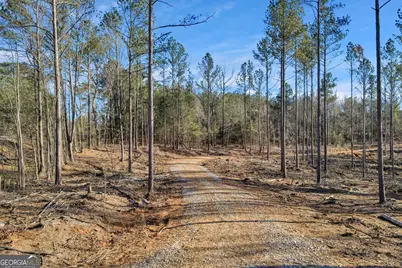 Lexington Estates, Lexington, GA 30648 - Photo 9