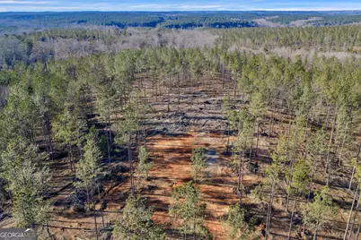 Lexington Estates, Lexington, GA 30648 - Photo 7