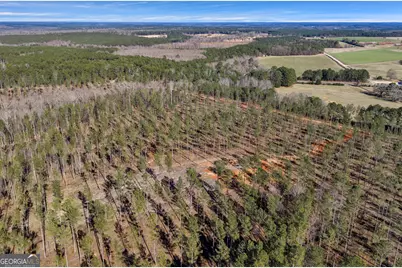 Lexington Estates, Lexington, GA 30648 - Photo 3