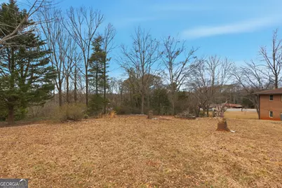 820 Collier Road, Toccoa, GA 30577 - Photo 33