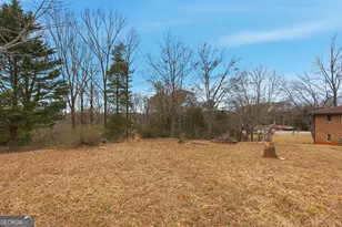 820 Collier Rd, Toccoa, GA 30577 - Photo 33